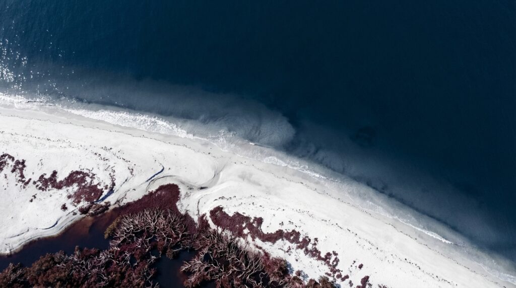 What part of Florida is best for family vacation? Practical guide and South Florida options