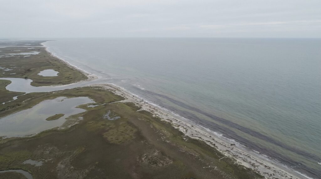 How do I apply for dua in Florida? – Practical guide