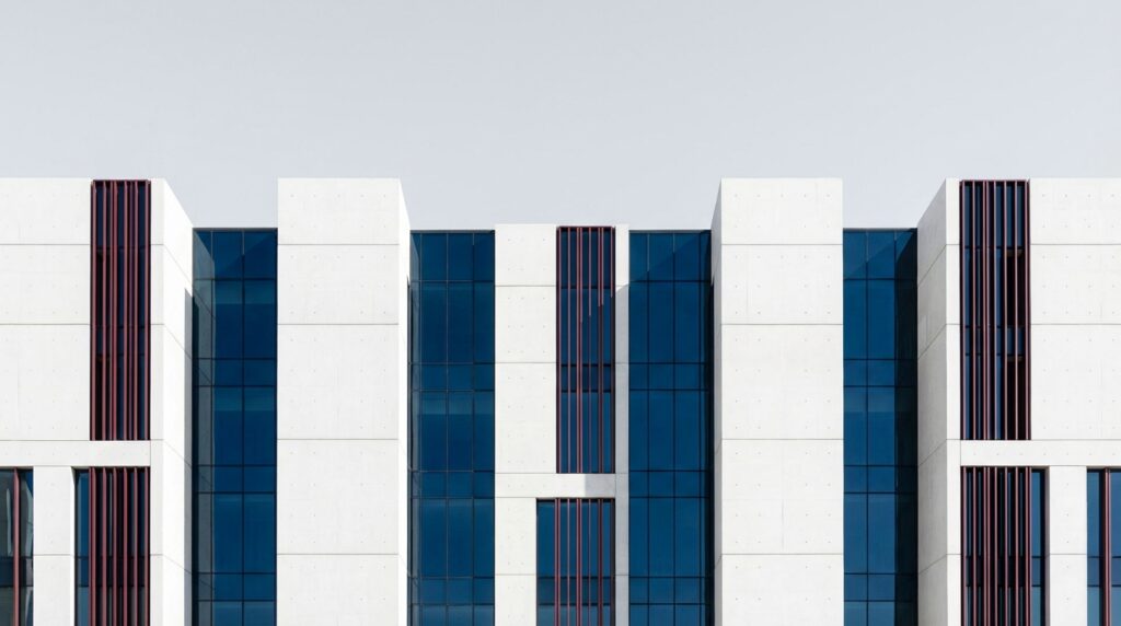 What are the five values of public service? A practical explainer