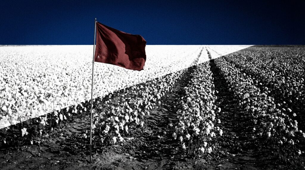 Did the 13th Amendment officially end slavery?