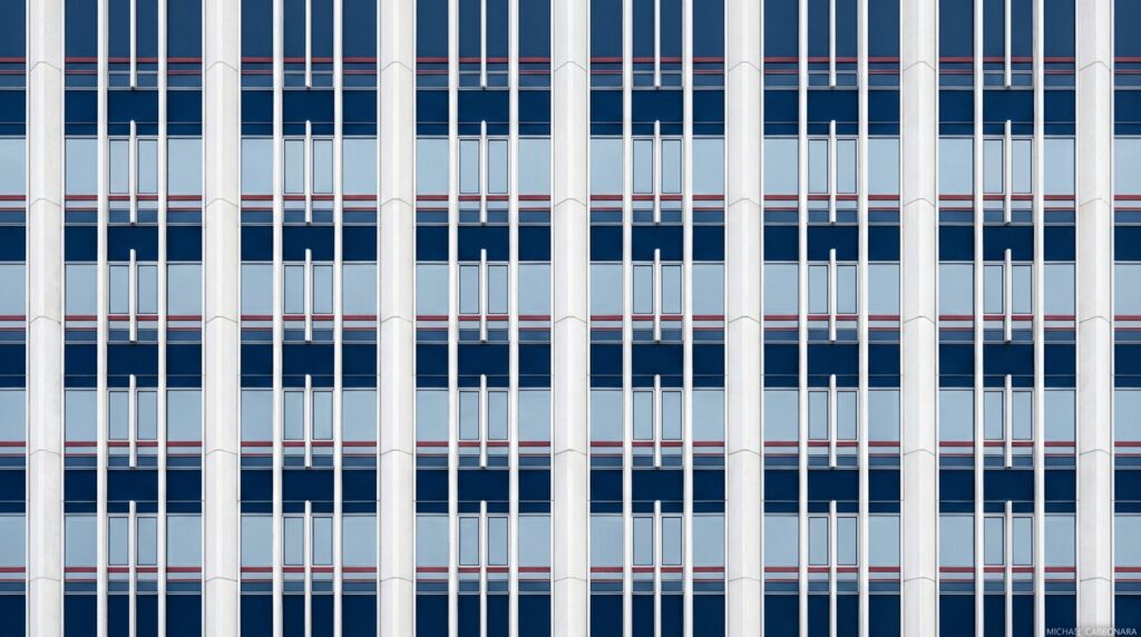 What is the American government for dummies? – A clear primer by Michael Carbonara