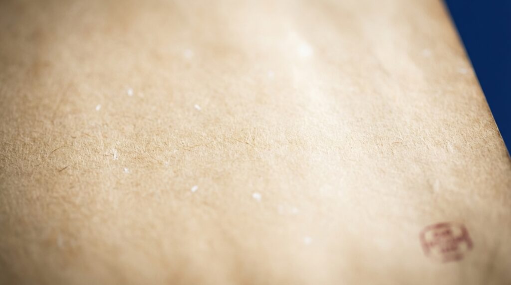 What are individual freedoms? Clear answers from the Bill of Rights