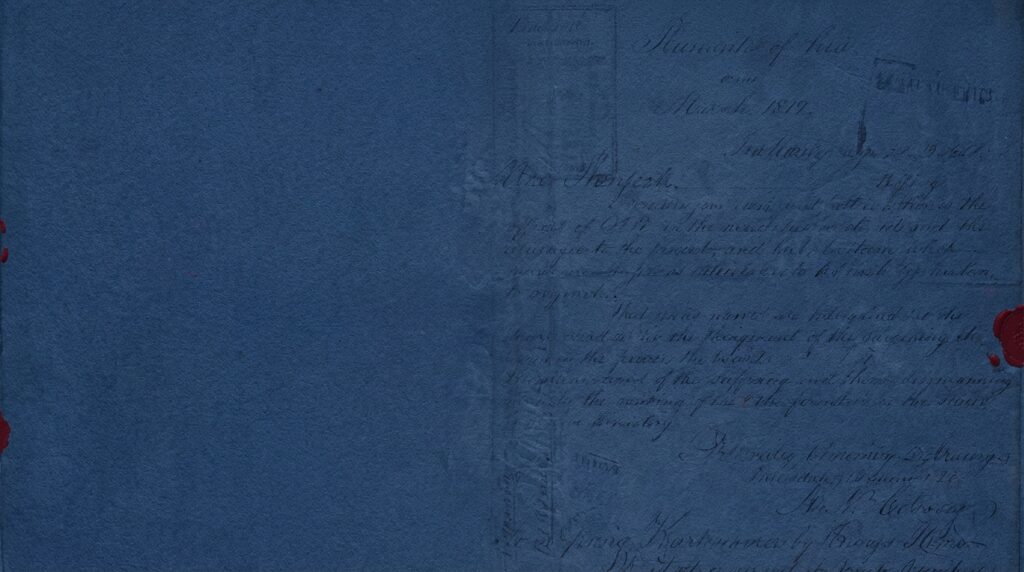 Who led the 19th Amendment movement? A concise, sourced account