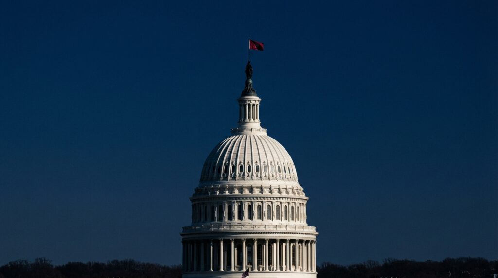 What are the 5 major roles of Congress? A clear explainer